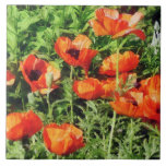 Field of Red Poppie Ceramic Tiles