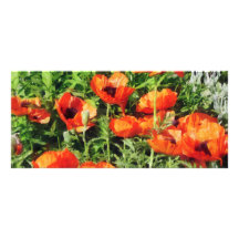 Field of Red Poppies Rack Cards