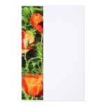 Field of Red Poppies Stationery Paper