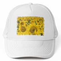 Field of Sunflowers Baseball Hat