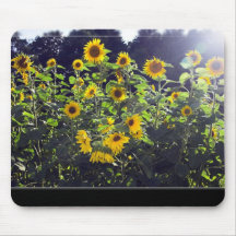 Field Of Sunflowers In Blossom Mousepad
