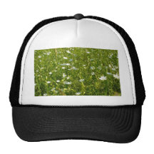 Field Of White Daisys Mesh Hat