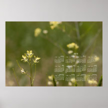 Field of Yellow Flowers; 2013 Calendar Posters