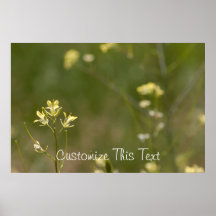 Field of Yellow Flowers; Customizable Posters