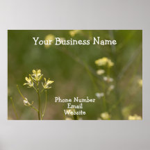 Field of Yellow Flowers; Promotional Print