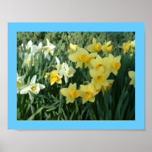 Field of Yellows - print