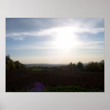 Field on a Sunny Day Posters
