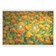 Field Research Greeting Cards