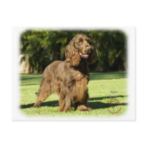 Field Spaniel 9P018D-046 Post Card