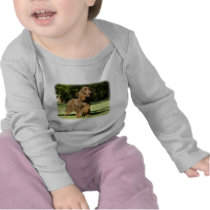 Field Spaniel 9P018D-046 Tee Shirt