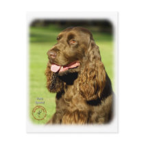 Field Spaniel 9P018D-158 Postcard