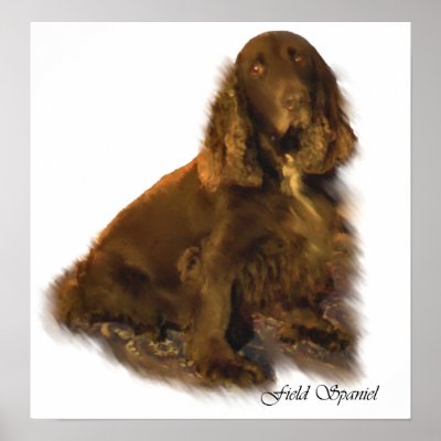 Field Spaniel Art Prints by DogsByDezign