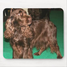 Field Spaniel Mousepad