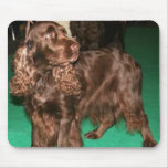 Field Spaniel usepad