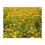 Field Yellow Wildflowers Photo Canvas Stretched Canvas Prints