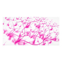 Fields of Rose Photo Card