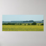 Fields Posters