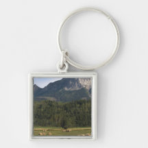 Fields with bailed hay, Alberta, Canada Keychains