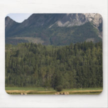 Fields with bailed hay, Alberta, Canada Mousepad