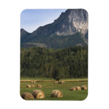Fields with bailed hay, Alberta, Canada Flexible Magnets