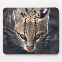 Fierce Mousemat Mousepads