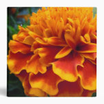 Fiery Marigold binders
