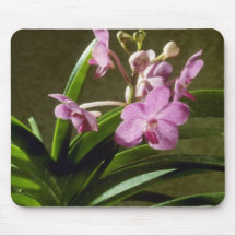 Fiftieth State Beauty, Mayumi (Ascocenda) flow Mousepads