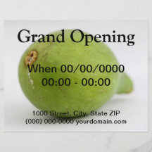 Fig Full Color Flyer