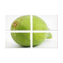 Fig Gallery Wrapped Canvas