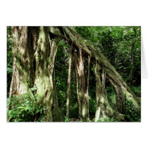 Fig Tree Greeting Card