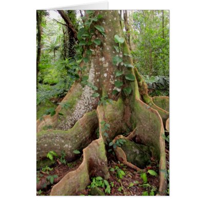 Fig Tree Roots Greeting Card by joeyartist