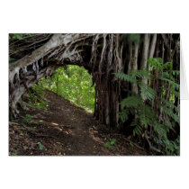 Fig Tree Tunnel Card