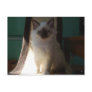 Figaro 007 carte postale