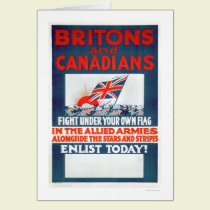 Fight Under Your Own Flag (US02106) cards