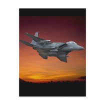 'FIGHTER COUNTRY' POST CARD