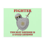 Fighter: The Best Defence