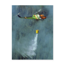 Fighting a forest fire, north of Edmonton, Alberta Postcards