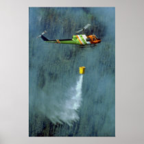 Fighting a forest fire, north of Edmonton, Alberta Print
