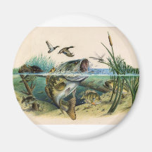 Fighting Bass Magnets