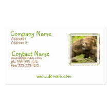 Fighting Bears Business Card