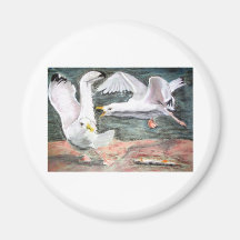 Fighting Seagulls Refrigerator Magnet