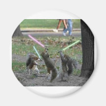 Fighting Sqirrels Fridge Magnet