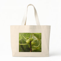 Figs Bags