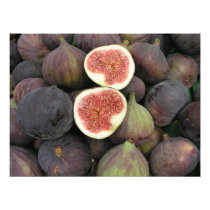 Figs Photograph