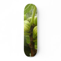 Figs Skate Boards