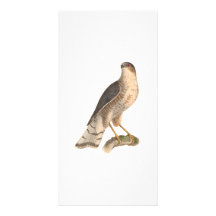 Figure 2 photo greeting card