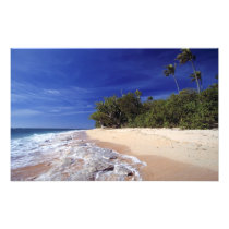 Fiji Islands, Tavarua. This beach on Tavarua,