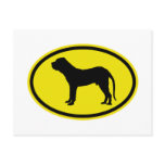 Fila Brasileiro