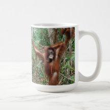 Fille de Pin- de faune de la forêt tropicale de la Mug