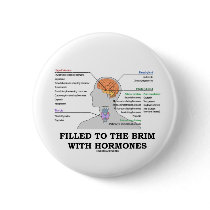 Filled To The Brim With Hormones (Anatomy)